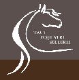 logo Tact Equestre
