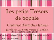 logo Les Petits Trésors De Sophie