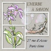 logo L'herbe A Savon
