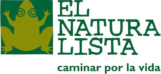 El Naturalista, marque espagnole de chaussures, marque à la grenouille
