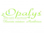 logo Opalys