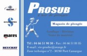 logo Prosub