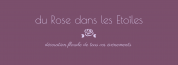 logo Du Rose Dans Les Etoiles