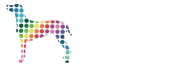logo Cdn Services