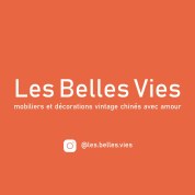 logo Les Belles Vies
