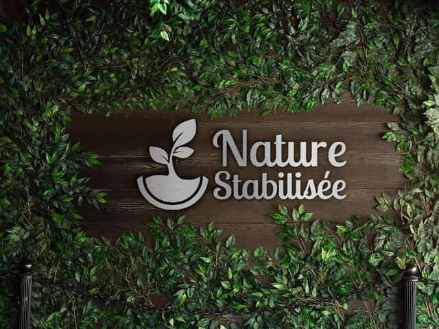Nature Stabilisee, specialiste plantes stabilisees et arbres stabilises